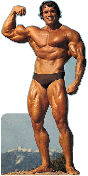 kartonová postava v životní velikosti Arnold Schwarzenegger