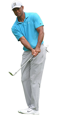 kartonová postava v životní velikosti Tiger Woods